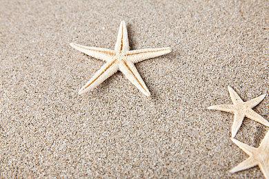 裁员或只是开始 《命运2》工作人员担忧Bungie的未来